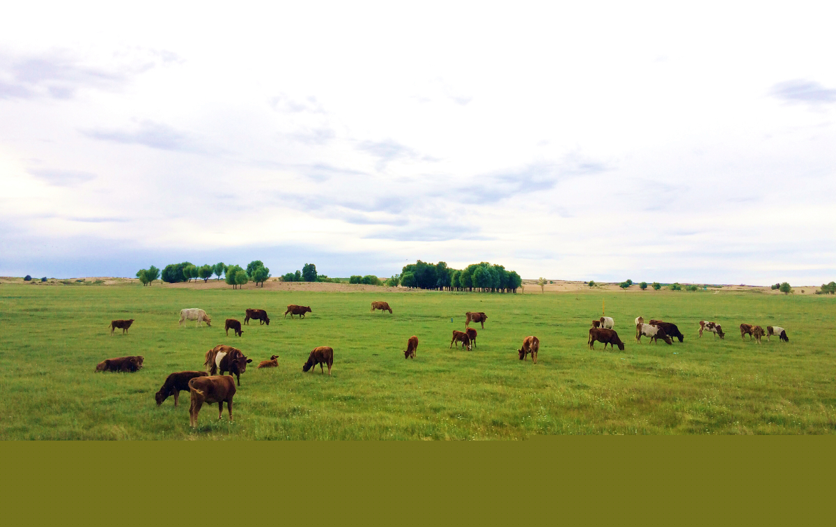 美翻了我的村第74期 | 內(nèi)蒙古自治區(qū)烏審旗嘎魯圖鎮(zhèn)：文明新風(fēng)撲面來大漠小鎮(zhèn)展新顏